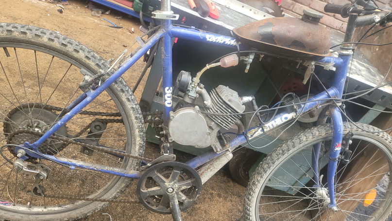 Close-up of one bike's blue frame with two-stroke engine and custom fuel tank